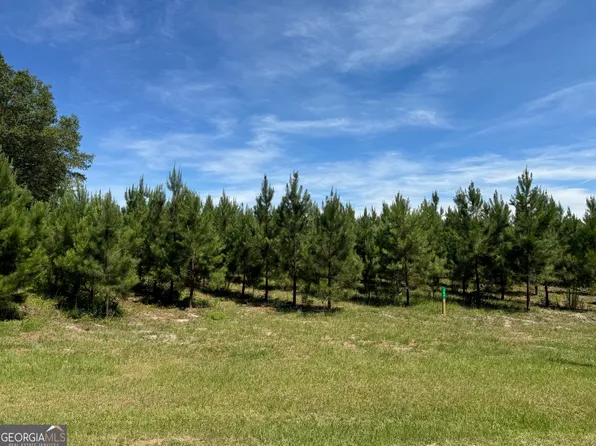 194 Archer Pond Smith Rd, Adrian, GA 31002