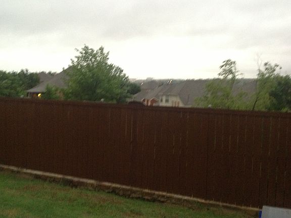 Back yard