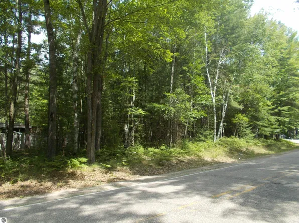 8070 Kokosing Rd, Hale, MI 48739