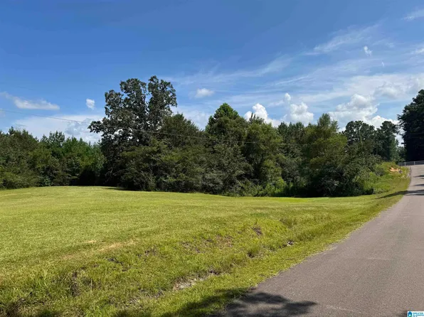 Short Town Rd #123, Vance, AL 35490