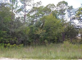 SE 150th Ave LOT 3, Morriston, FL 32668