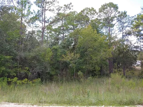 SE 150th Ave Lot 3, Morriston, FL 32668