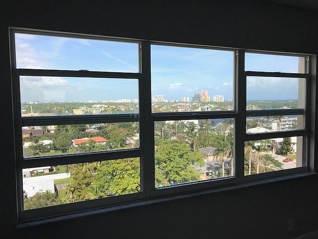The view 