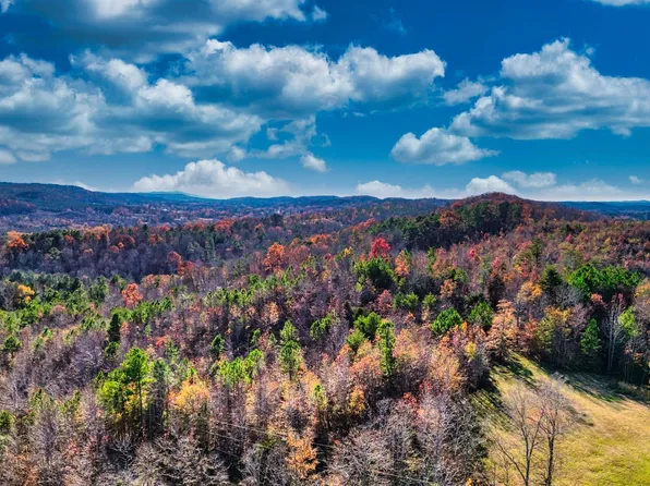 Roy Isbell Dr, Ashville, AL 35953