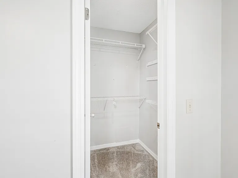 1003 W Horatio St #A — Photo 28