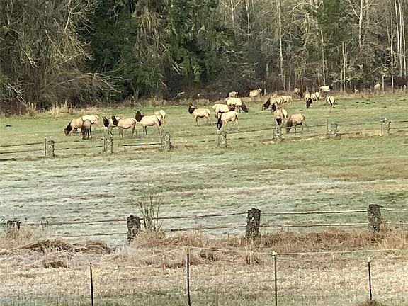 3rd image of 3925 Harts Lake Road S