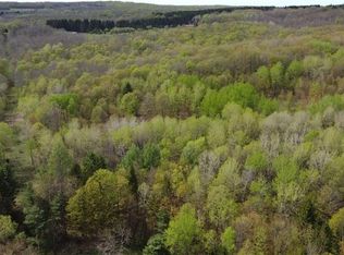 4545 Sportsman Club Rd #6, Cincinnatus, NY 13040