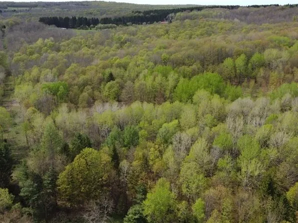 4545 Sportsman Club Rd #6, Cincinnatus, NY 13040