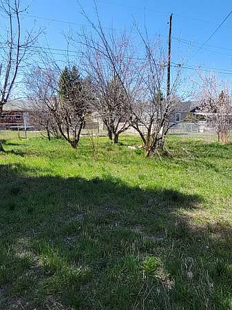 3 bed, 1800 sqft, $1,500 — Photo 2