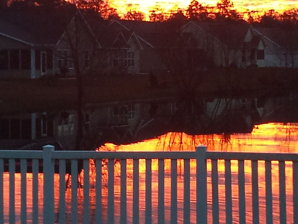 View from patio and Sun Room