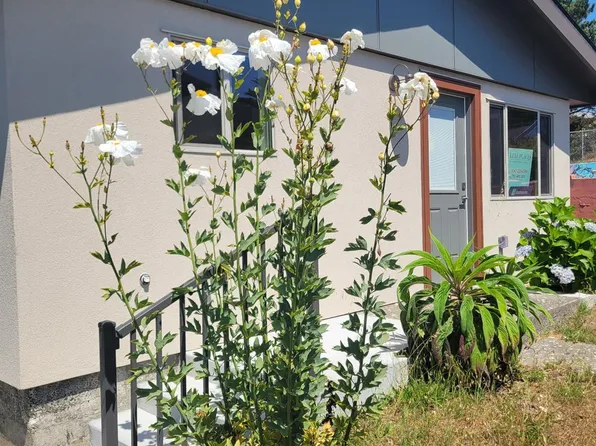 340 Main Street, Point Arena, CA 95468