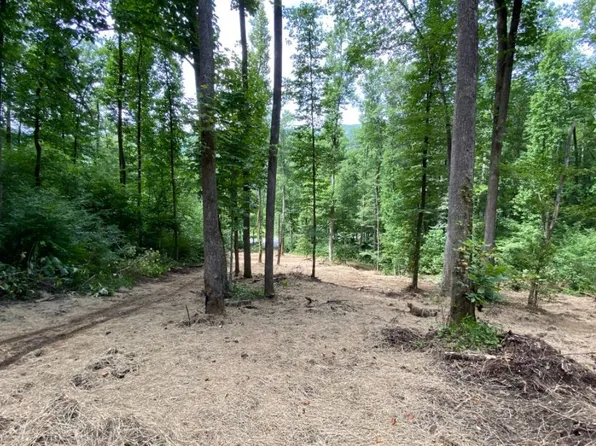 2 Highway 64e, Hayesville, NC 28904