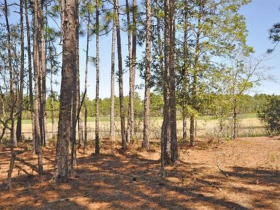5th image of 3156 Moss Hammock Wynd LOT 84