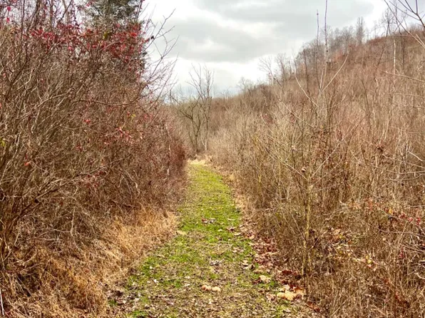 0 Clay Chapel Rd, Gallipolis, OH 45631