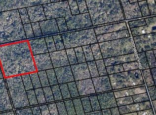 95 Pine Needle Rd, Mims, FL 32754