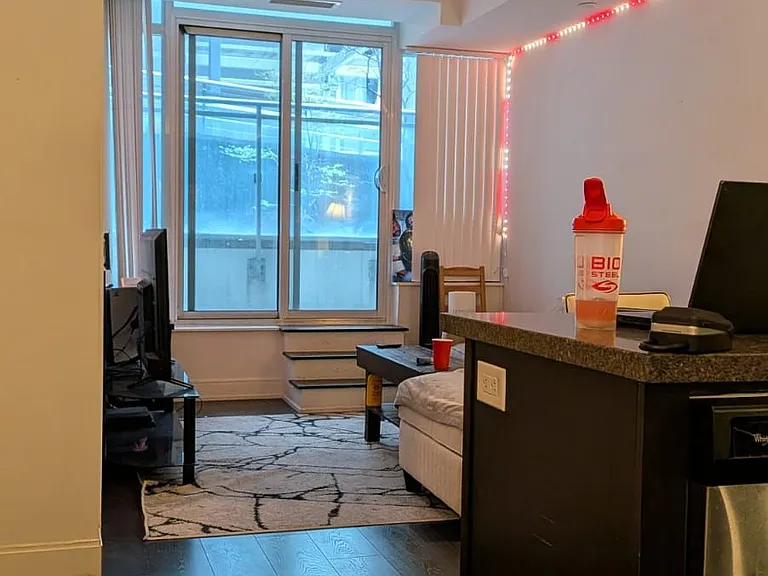 525 Adelaide St W #231 — Photo 10
