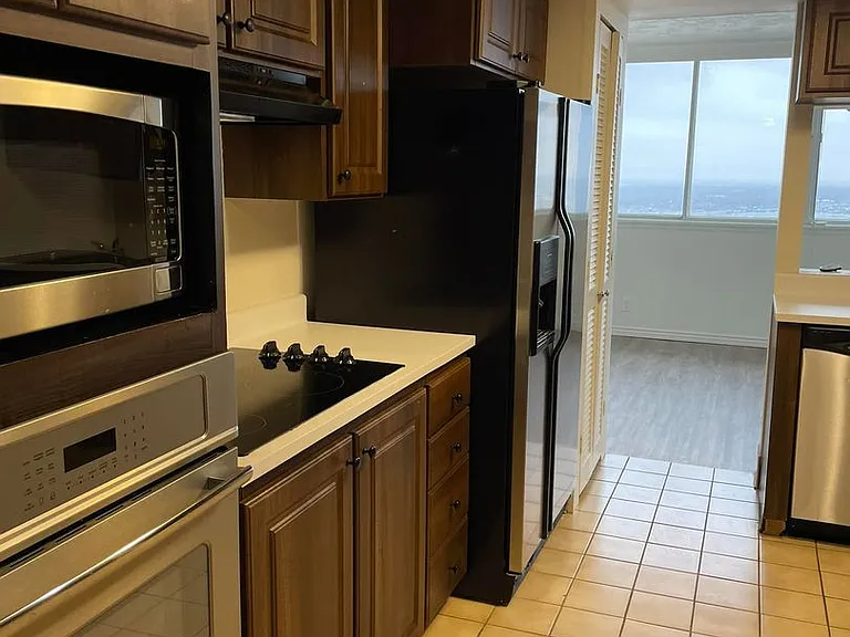 241 N Vine St E #1203 — Photo 5