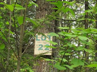 0 Taylor Woods Rd, Bethel, ME 04217