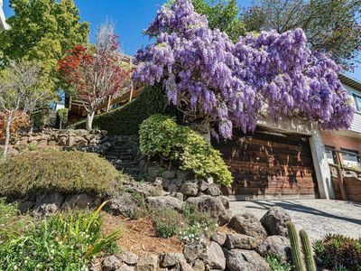 249 Trinity Ave, Kensington, CA, 94708
