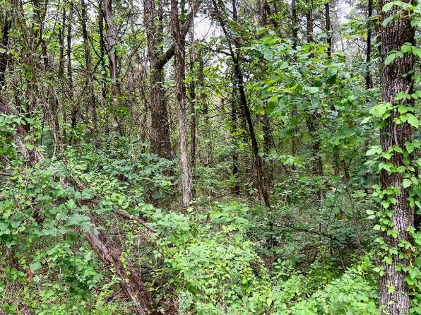 W Pine St, Lead Hill, AR 72644