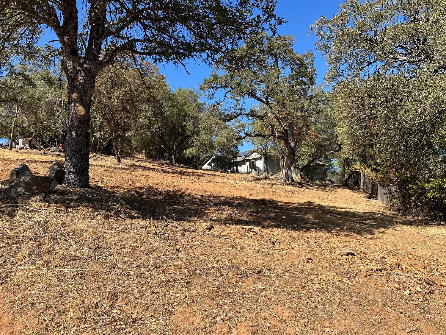 819 Live Oak Dr photo 1