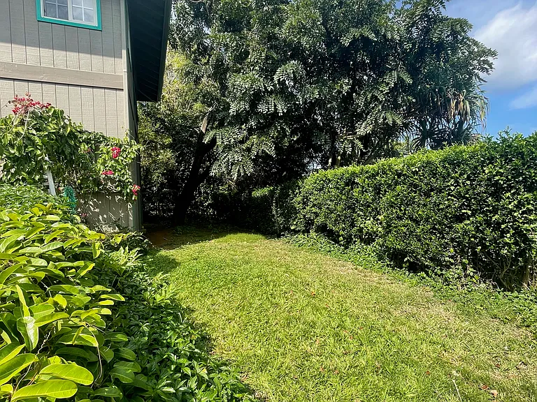 Front yard