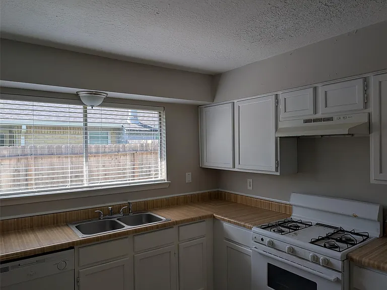 11019 Clear Fork Dr — Photo 5