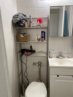 Rented by Manhattan Flats | media 22