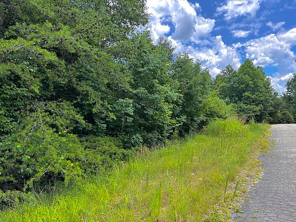 2nd image of 60/ACRE S County Road 298
