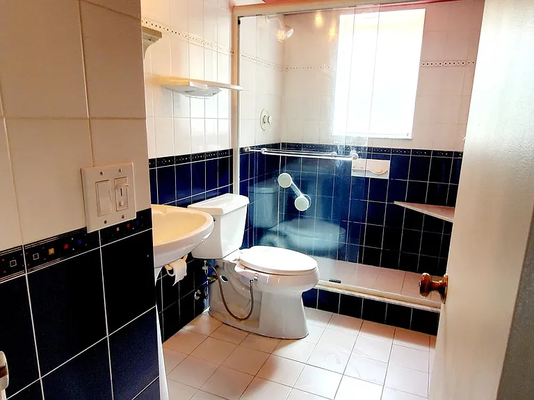 Guest full bathroom