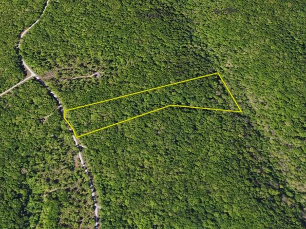 0 Wilson Ridge Rd, Wilder, TN 38589