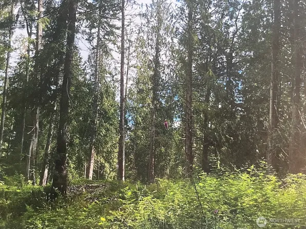 28 XXX SE Mud Mountain Road, Enumclaw, WA 98022
