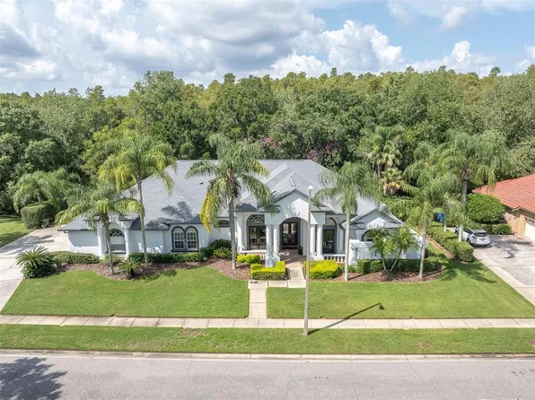 5412 Avenue Simone, Lutz, FL 33558