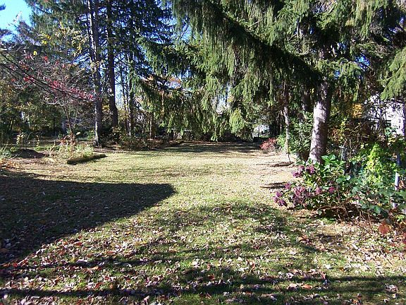 Back yard
