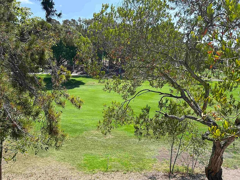 2162 Palmer Dr — Photo 17