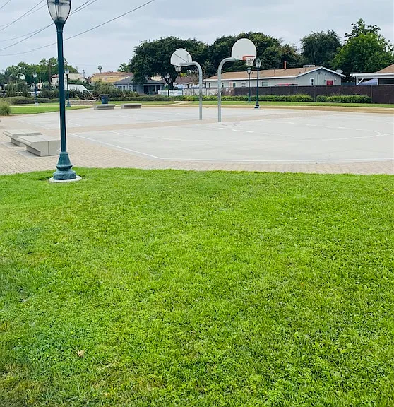 Basketball court and picnic area walking distance from apartment.