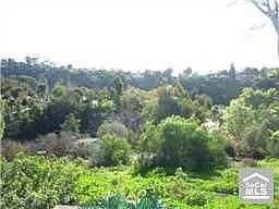 2nd image of 1239 El Terraza Dr