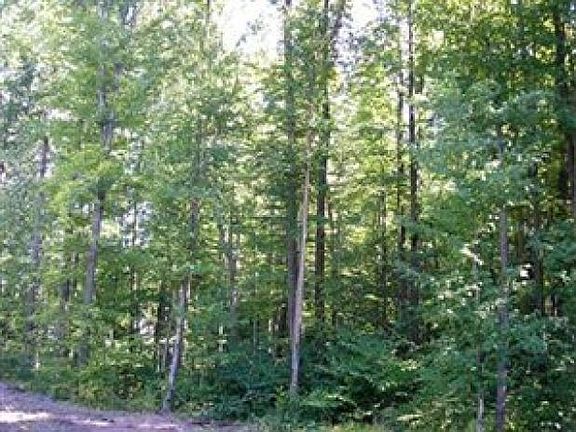 3rd image of 16 Forest Dr