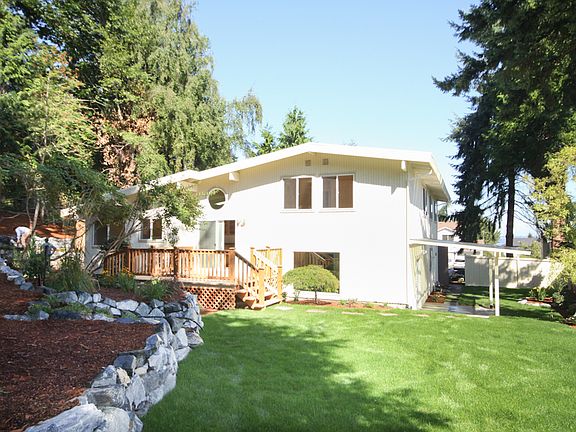 Sun fills the backyard.