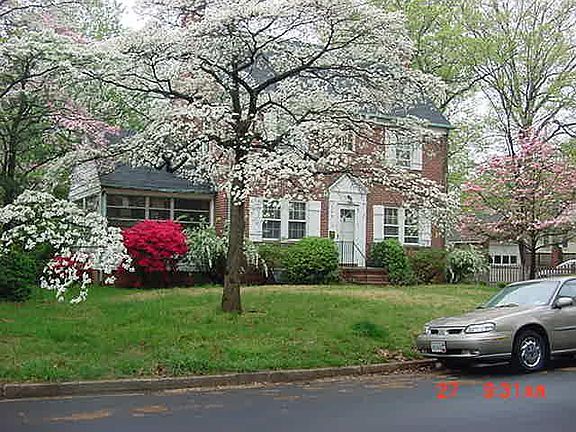 The house is located mid block, with brick colonials on each