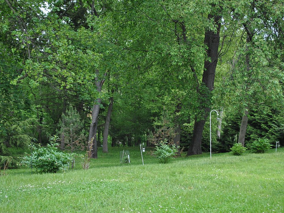 Elevated, & many trees