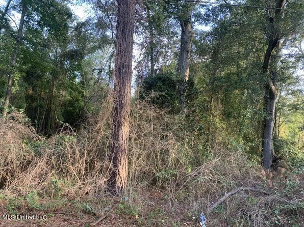 1 Old Gravel Rd #49, Mendenhall, MS 39114