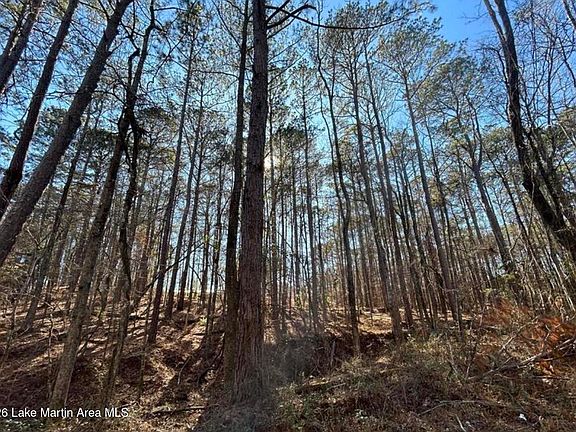 2nd image of 3 N 40th Rd