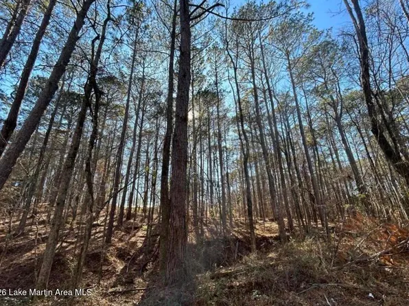 2 N 40th Rd, Alexander City, AL 35010