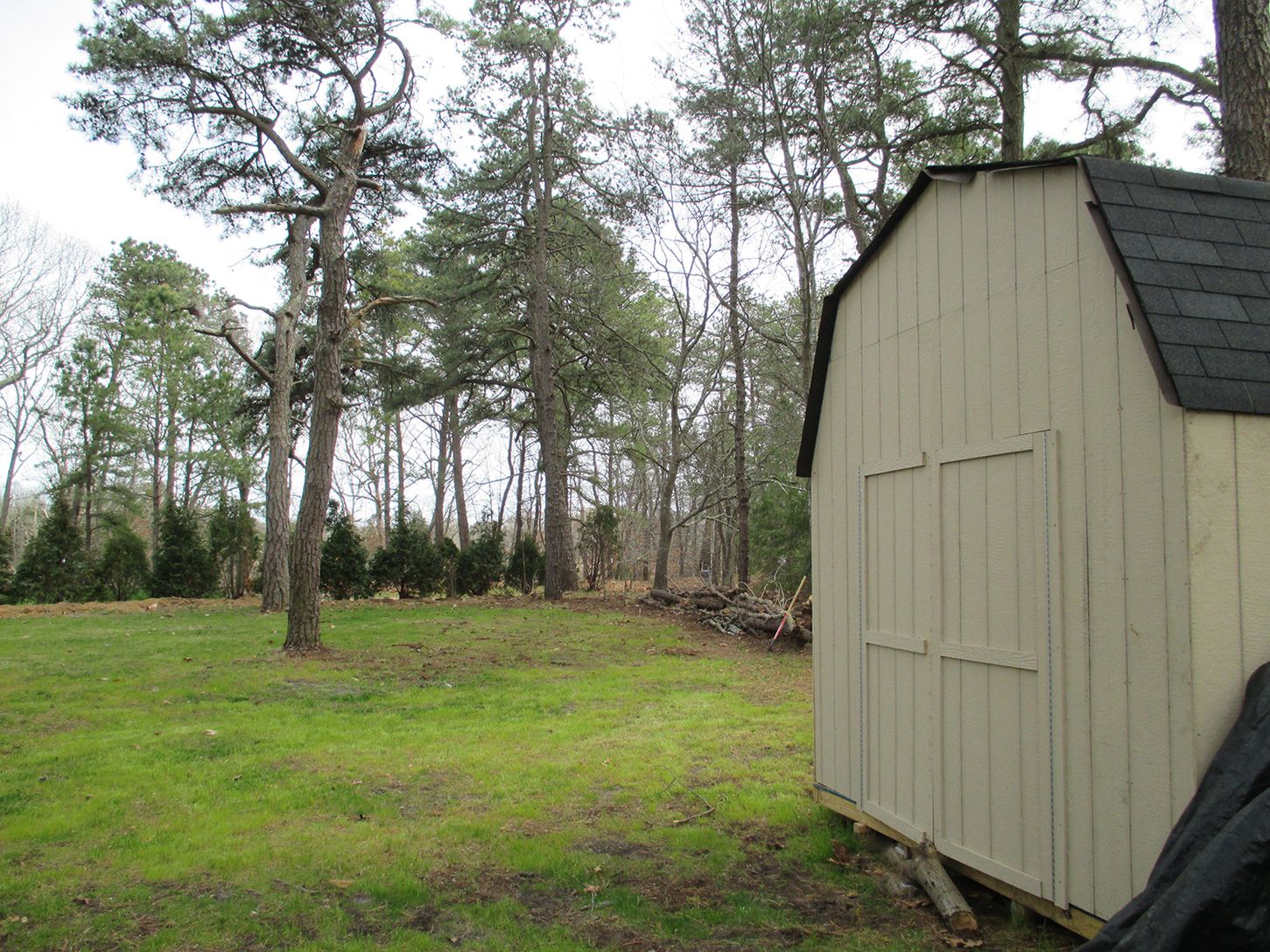  Shed