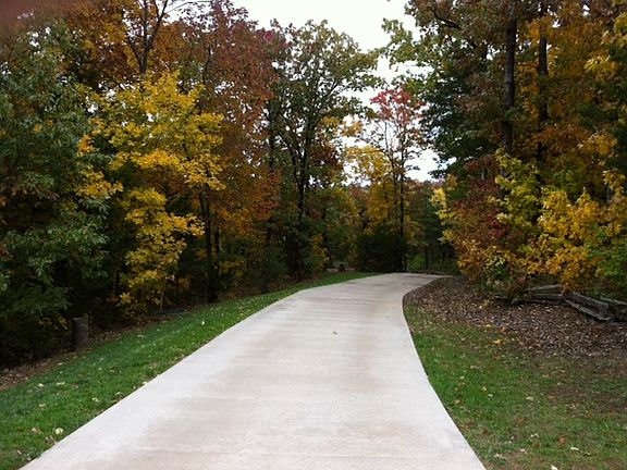 Driveway in fall