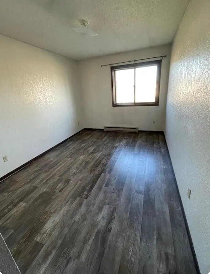 1 bed, $600 — Photo 4
