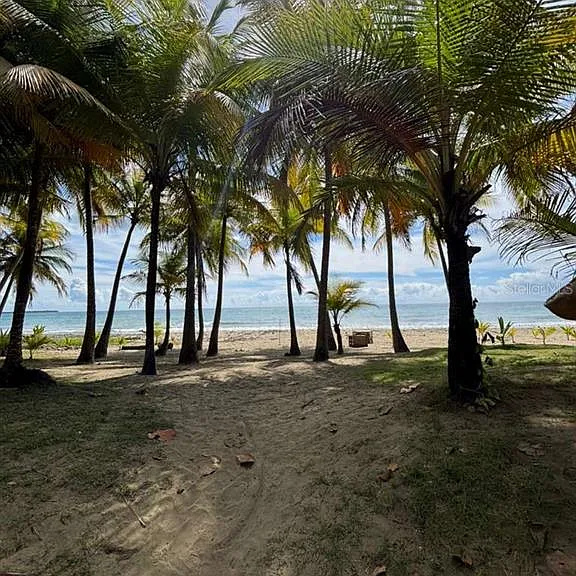 PH 1-A Arroyo Beach Resort #PH1-A — Photo 37