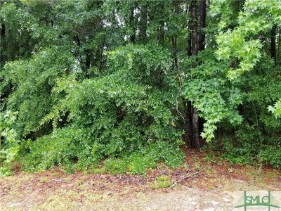 402 Morgan Cemetery Rd, Clyo, GA, 31303