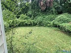3317 Waverly Blvd #B — Photo 33